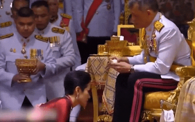 Nữ y tá quỳ rạp trước Nhà vua Thái Lan trong lễ sắc phong thành Hoàng quý phi