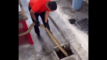 Clip: Nghẹt thở khoảnh khắc vây bắt rắn hổ mang chúa khổng lồ