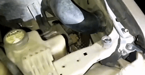 'Ghê răng' cảnh bắt rắn hổ mang chúa trong khoang động cơ chiếc Toyota Hilux