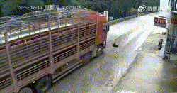 Thanh niên thoát chết kỳ diệu sau khi ngã ra đường, bị xe tải tông văng