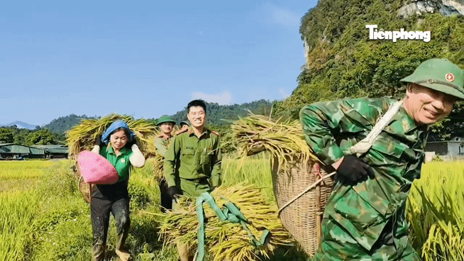 C&ocirc;ng an, đo&agrave;n vi&ecirc;n xuống đồng gi&uacute;p người d&acirc;n cứu l&uacute;a sau d&ocirc;ng lốc