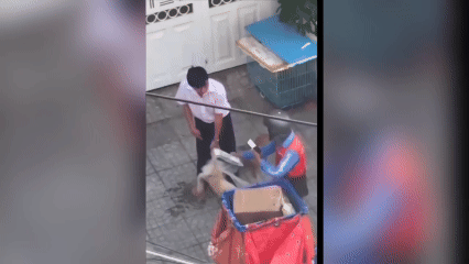 Người đ&agrave;n &ocirc;ng quăng ch&oacute;, đ&aacute;nh shipper chảy m&aacute;u miệng bị c&ocirc;ng an mời l&agrave;m việc