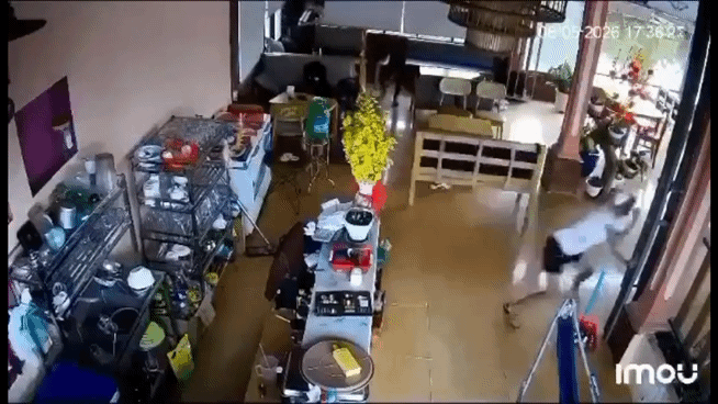 Khởi tố 12 học sinh lao vào quán cà phê tấn công 1 người tử vong