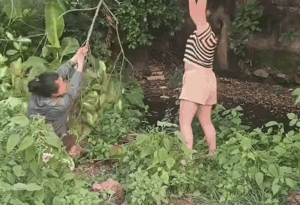 Clip: Đi hái mít, 2 cô gái quay được khoảnh khắc để đời