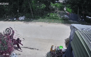 Thấy chậu c&acirc;y bị ng&atilde;, chủ nh&agrave; check camera liền thấy cảnh bất ngờ