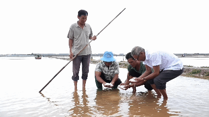 C&agrave; Mau: Gần 7 tỷ đồng hỗ trợ di&ecirc;m d&acirc;n bị thiệt hại do mưa tr&aacute;i m&ugrave;a