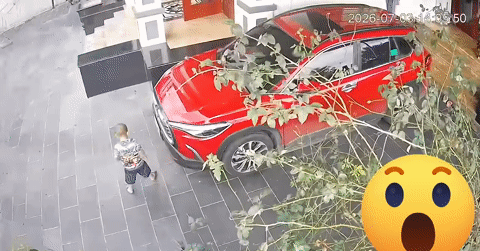 Thót tim bé trai chui vào gầm ô tô đỗ trong sân nhà, phụ huynh lên xe nổ máy