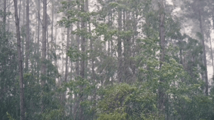 Dự b&aacute;o thời tiết 8-7: Bắc bộ mưa d&ocirc;ng, cục bộ mưa to; đề ph&ograve;ng lốc, s&eacute;t, mưa đ&aacute;