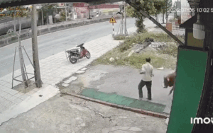 Người đ&agrave;n &ocirc;ng vừa k&eacute;o con b&ograve; ra cửa, camera ghi lại diễn biến đ&aacute;ng sợ tiếp đ&oacute;