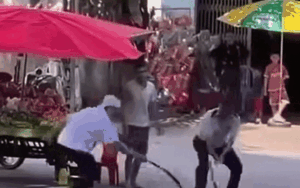 Đoạn clip 'tay kh&ocirc;ng bắt rắn' của 2 người đ&agrave;n &ocirc;ng khiến c&otilde;i mạng r&ocirc;m rả b&agrave;n luận