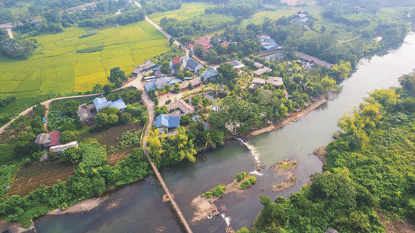 Th&aacute;i Nguy&ecirc;n - Huyền thoại xanh