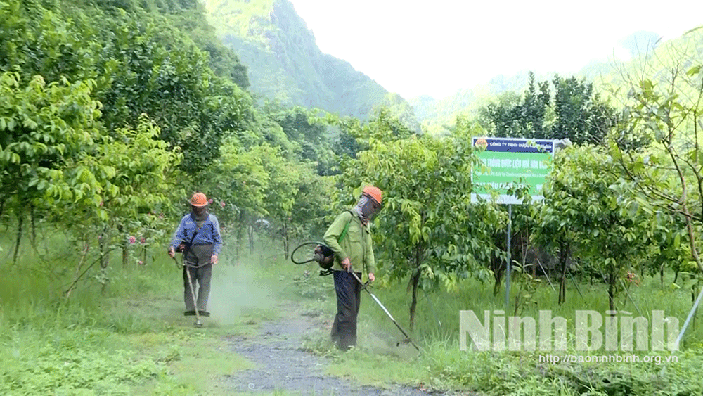 Xây dựng mã số vùng trồng, nâng cao giá trị nông sản