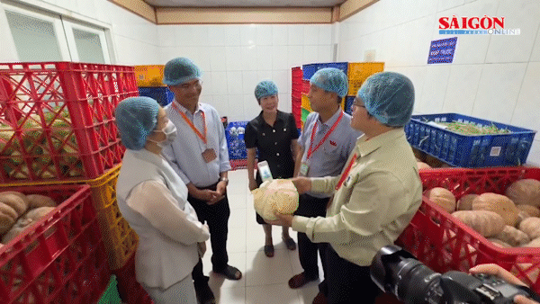 TPHCM: Khảo s&aacute;t an to&agrave;n thực phẩm c&ocirc;ng ty cung ứng suất ăn trường học