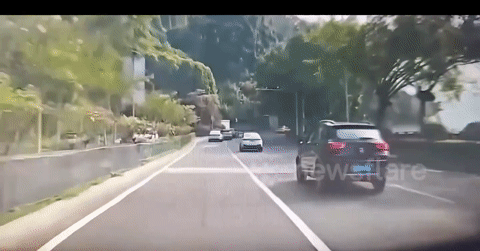 Xe SUV đang đi trên cao tốc bất ngờ 'bay' lên cây theo cách khó tin