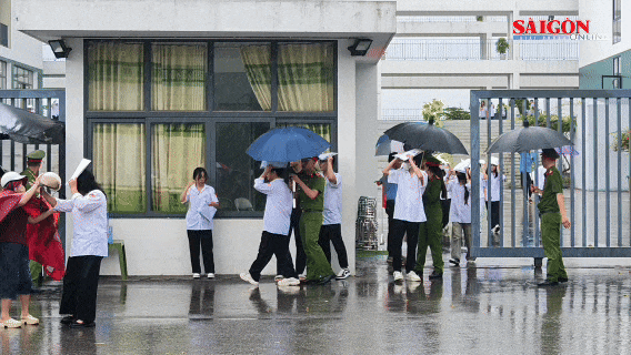 Đề Ngữ văn thi lại ở Tuyên Quang: Nghị luận về sự cần thiết phải trung thực khi chia sẻ thông tin