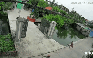 Cháu bé rơi xuống ao rồi chới với, diễn biến tiếp đó khiến ai cũng thót tim dõi theo