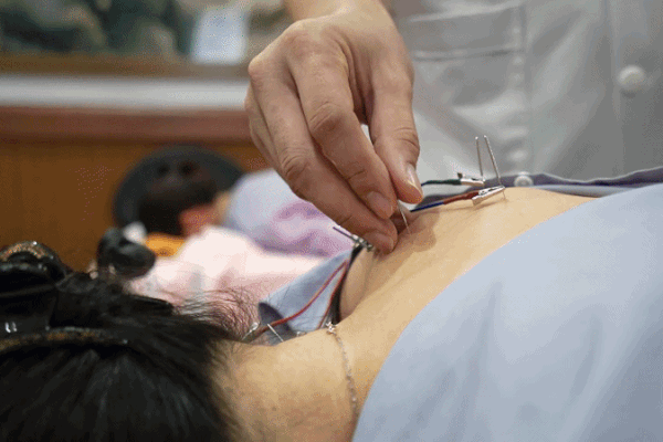 Y học cổ truyền Việt Nam: Từ di sản đến nguồn lực quốc gia