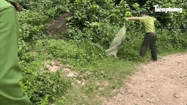 Rắn hổ tr&acirc;u d&agrave;i 3m bất ngờ 'gh&eacute; thăm' nh&agrave; d&acirc;n