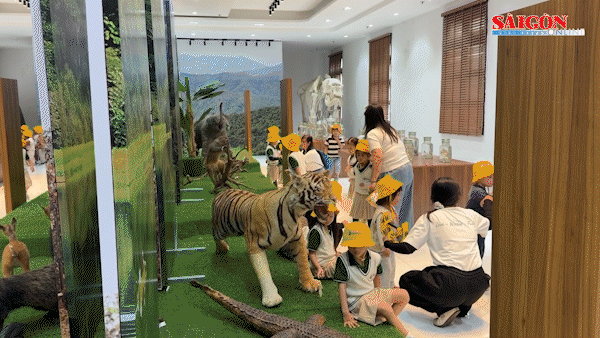 Du khách thích thú chiêm ngưỡng hàng ngàn tiêu bản quý hiếm tại Đà Lạt