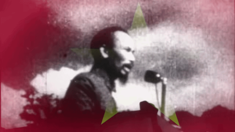 Những hình ảnh chưa từng phai màu thời gian của ngày 2/9/1945