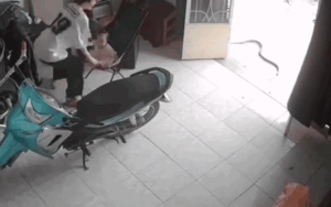 Thấy rắn trườn trước mặt, vợ cầu cứu chồng và diễn biến bất ngờ tiếp đó