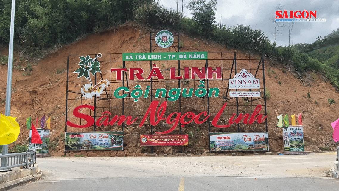 Đặc sắc du lịch trải nghiệm đại ngàn ở Đà Nẵng
