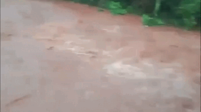 Mưa lớn nhiều khu vực, Đắk Lắk cảnh báo ngập lụt