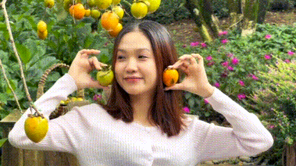Du khách mê mùa hồng sớm ở Đà Lạt