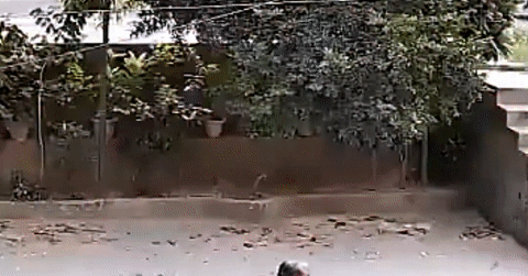 Ô tô chở học sinh bị mất lái, lao qua hàng cây rồi rơi khỏi đường trên cao