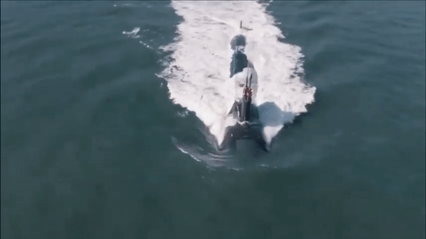 USS Connecticut: Tàu ngầm Seawolf 8,5 tỷ USD và cú đâm núi ngầm ở Biển Đông