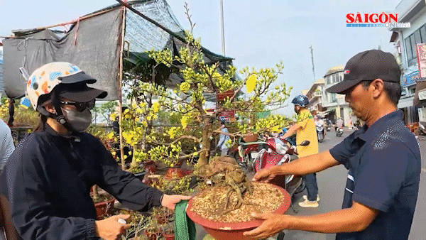 C&ocirc;ng chức, vi&ecirc;n chức được nghỉ Tết Nguy&ecirc;n đ&aacute;n Đinh M&ugrave;i 7 ng&agrave;y li&ecirc;n tục