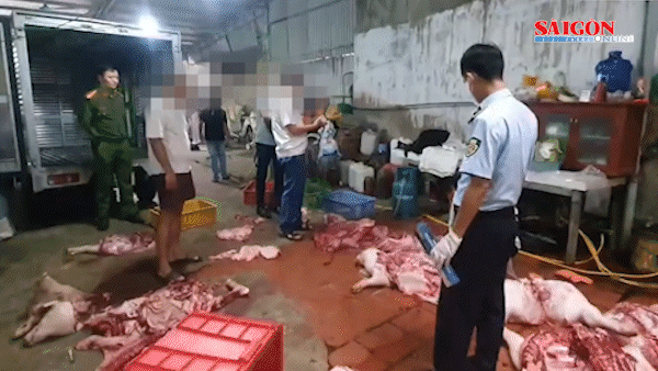 Chuyển cơ quan công an điều tra vụ gần 1 tấn thịt heo nghi nhiễm tả heo châu Phi
