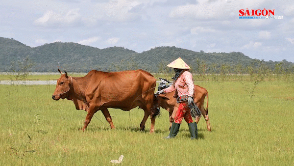 Bình yên giữa công trình thủy lợi lớn nhất Đông Nam Á