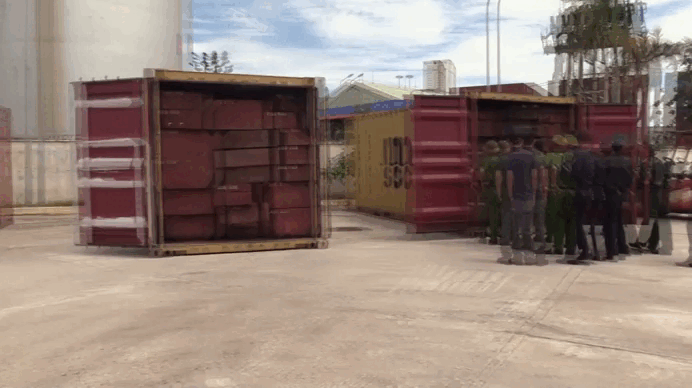 Hải quan Quy Nhơn thu giữ hơn 1,2 tấn ngà voi và xương động vật trong container gỗ xẻ