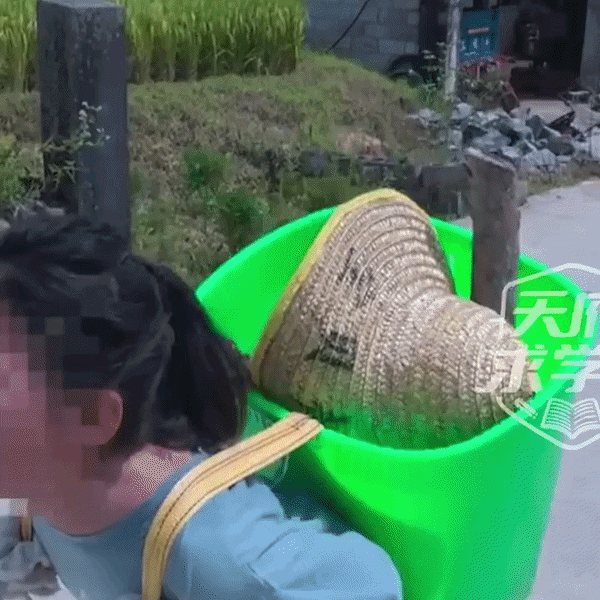 Phụ huynh Trung Quốc chi tiền để con 'nếm mùi' gian khổ