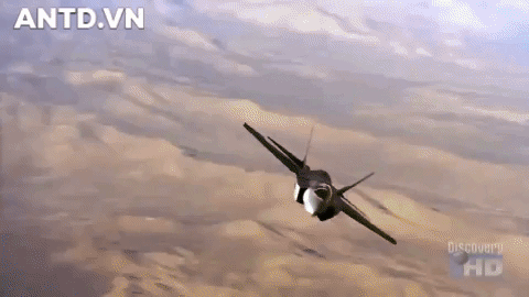  Phần cánh của F-35C lớn hơn và những thiết bị hỗ trợ hạ cánh khiến nó cơ động và linh hoạt hơn những phiên bản khác. 