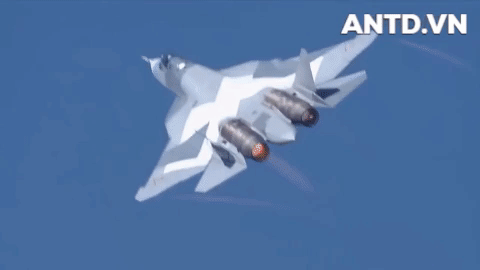 Chúng được định danh là Sukhoi PAK FA T-50. Chuyến bay đầu tiên được thực hiện thành công vào ngày 29-1-2010 do phi công Sergey Bordan thực hiện.