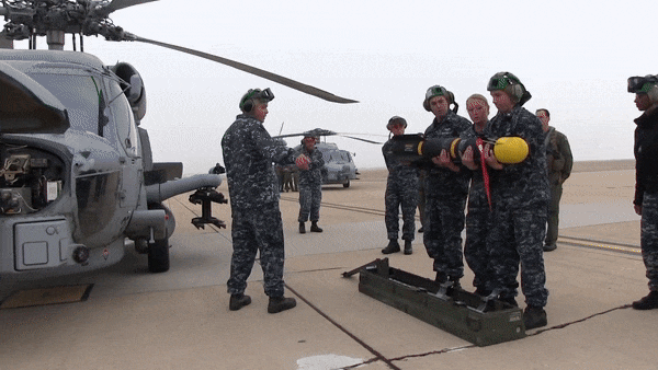 Đáng chú ý, loại tên lửa này đều có thể trang bị trên các máy bay không người lái MQ-1 Predator và MQ-9 Reaper, đây là hai loại khí tài mà trước đây Mỹ muốn chuyển giao cho Ukraine.