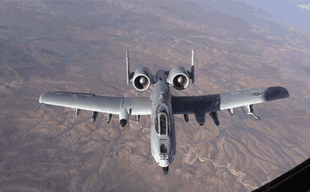Ra đời từ năm 1977, các cường kích cơ A-10 Thunderbolt II hay còn biết đến với biệt danh "lợn lòi" là một trong những loại máy bay cường kích đáng sợ nhất hiện nay trên thế giới.