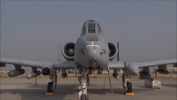 Khác với nhiều loại máy bay được các nước đồng minh sử dụng như F-15, F-16, F-18, hiện nay chỉ có duy nhất không quân Mỹ đang vận hành những chiếc cường kích này.
