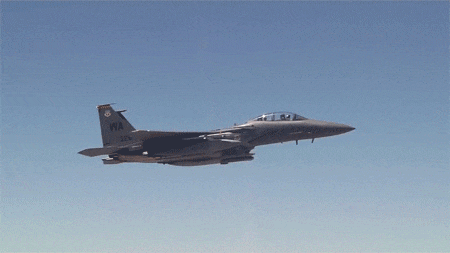 Tuy nhiên, một nhóm không chính thức và có ảnh hưởng có biệt danh là “Fighter Mafia”, tin rằng F-15 là một bước đi sai hướng.