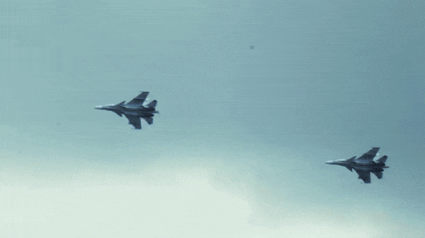 Tuy lập không ít chiến công nhưng cũng có nhiều chiếc Su-30SM của Nga bị tổn thất tại Đông Âu.