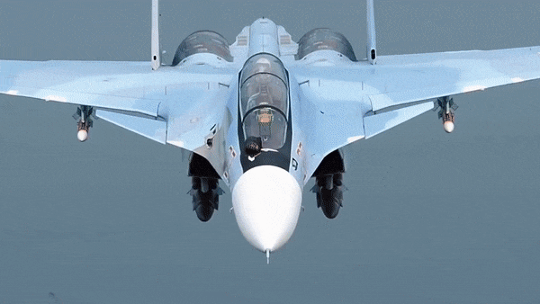Su-30SM được trang bị một khẩu pháo 30mm GSh-301 với cơ số đạn 150 viên.