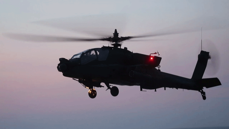 Nổi bật trong số đó là trực thăng tấn công AH-64E Apache Guardian của lục quân Mỹ, trực thăng tấn công AH-1Z Viper của thủy quân lục chiến Mỹ, máy bay không người lái MQ-1C Gray Eagle và máy bay không người lái MQ-9 Reaper.