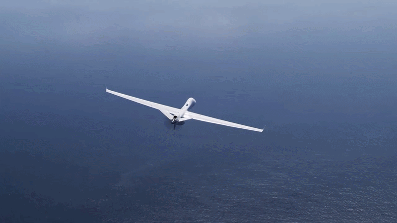 Ấn Độ từ lâu quan tâm đến UAV vũ trang cỡ lớn của Mỹ. Năm 2024, New Delhi ký thỏa thuận trị giá 3,5 tỷ USD để mua 31 MQ-9B, gồm cả phiên bản Sea Guardian và Sky Guardian.