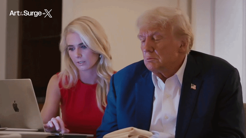 Câu chuyện khiến ông Trump chú ý. Harp sau đó gia nhập chiến dịch tranh cử của ông năm 2020, rồi trở thành người dẫn chương trình tại One America News Network.