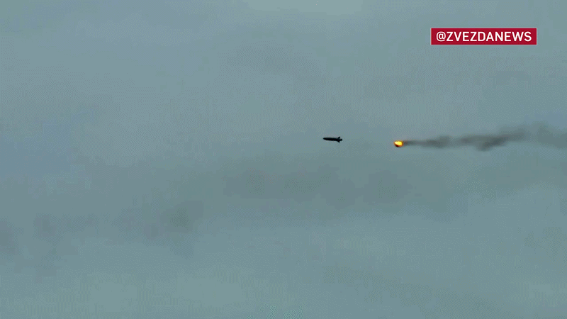 Tên lửa diệt hạm P-800 Oniks có tốc độ 3.200 km/h, tầm bắn 600-800 km và mang đầu đạn nổ mạnh nặng 250 kg.