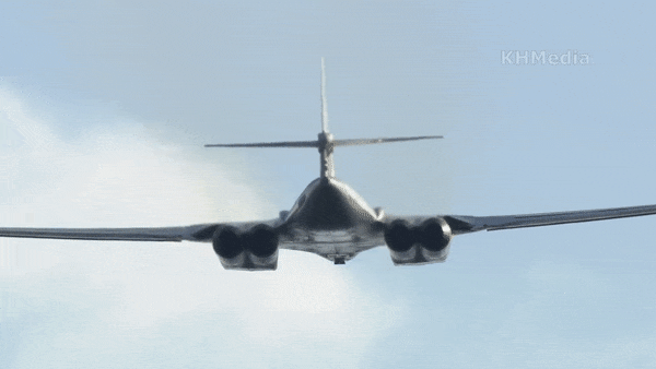 Cánh của Tu-160 có thể thay đổi góc cụp từ 20 đến 65 độ. Phi công có thể điều chỉnh góc cánh tùy theo tốc độ và chế độ bay.