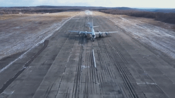 Tu-142 cũng từng thực hiện các nhiệm vụ trên Bắc Cực, Bắc Đại Tây Dương và Thái Bình Dương. Đây đều là những khu vực có khoảng cách rất lớn giữa các căn cứ và vùng biển cần tuần tra.